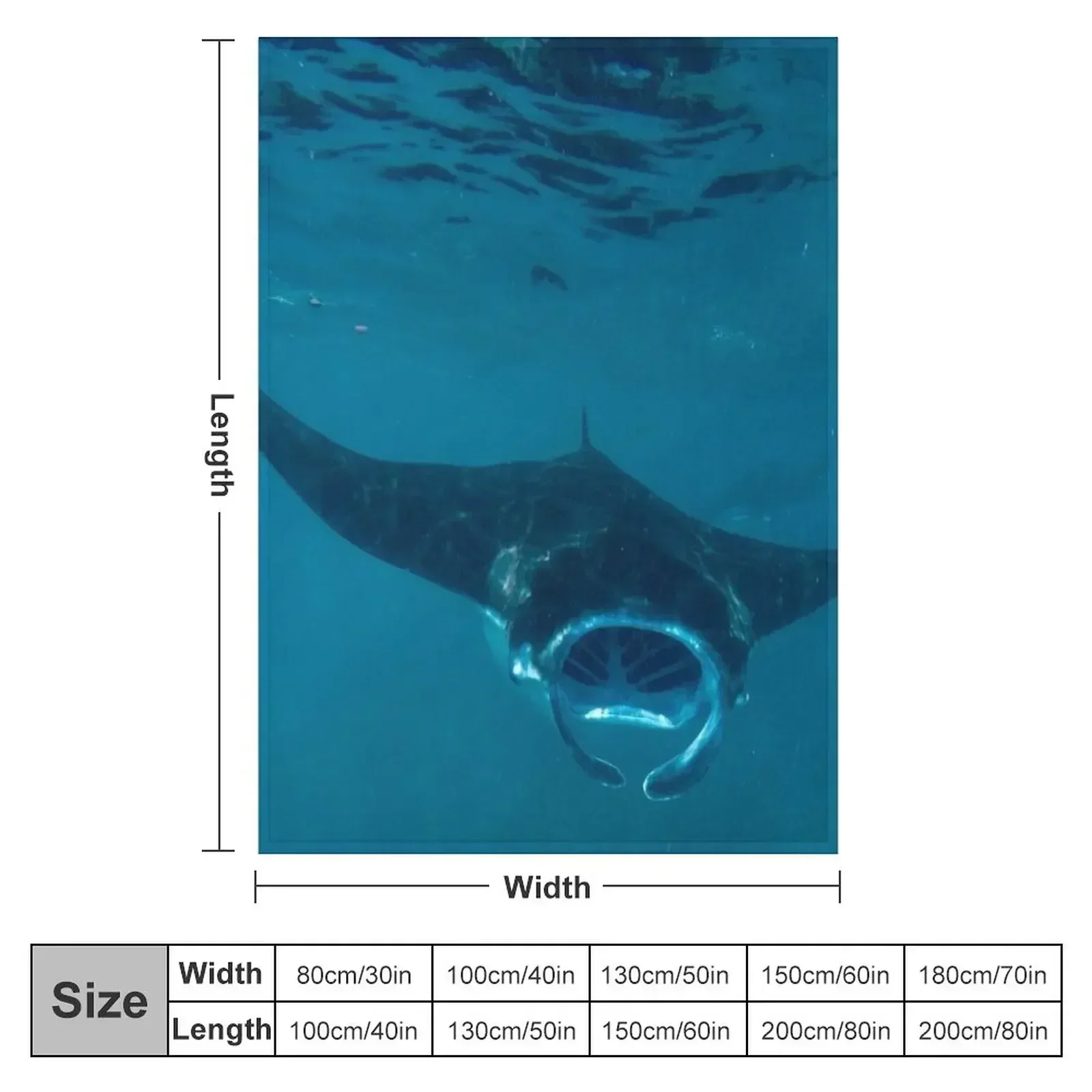 Curious Manta Ray At Crystal B - 3D Printing Bali ulasan dan harga