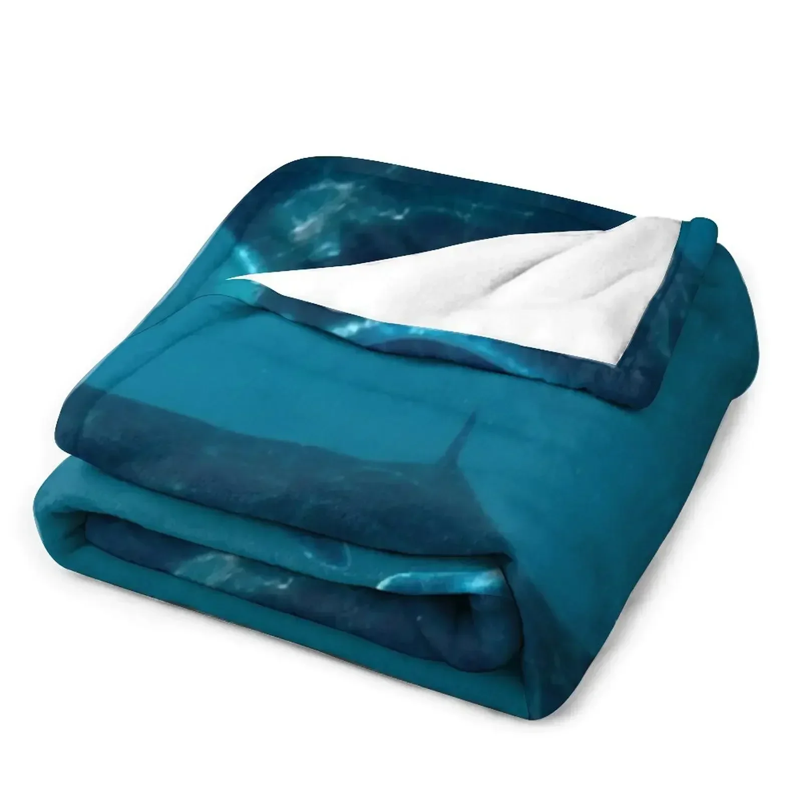 Curious Manta Ray At Crystal B - 3D Printing Bali ulasan dan harga