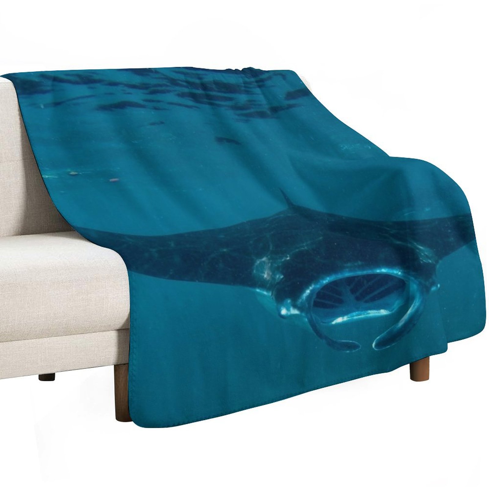 Curious Manta Ray At Crystal B - 3D Printing Bali ulasan dan harga