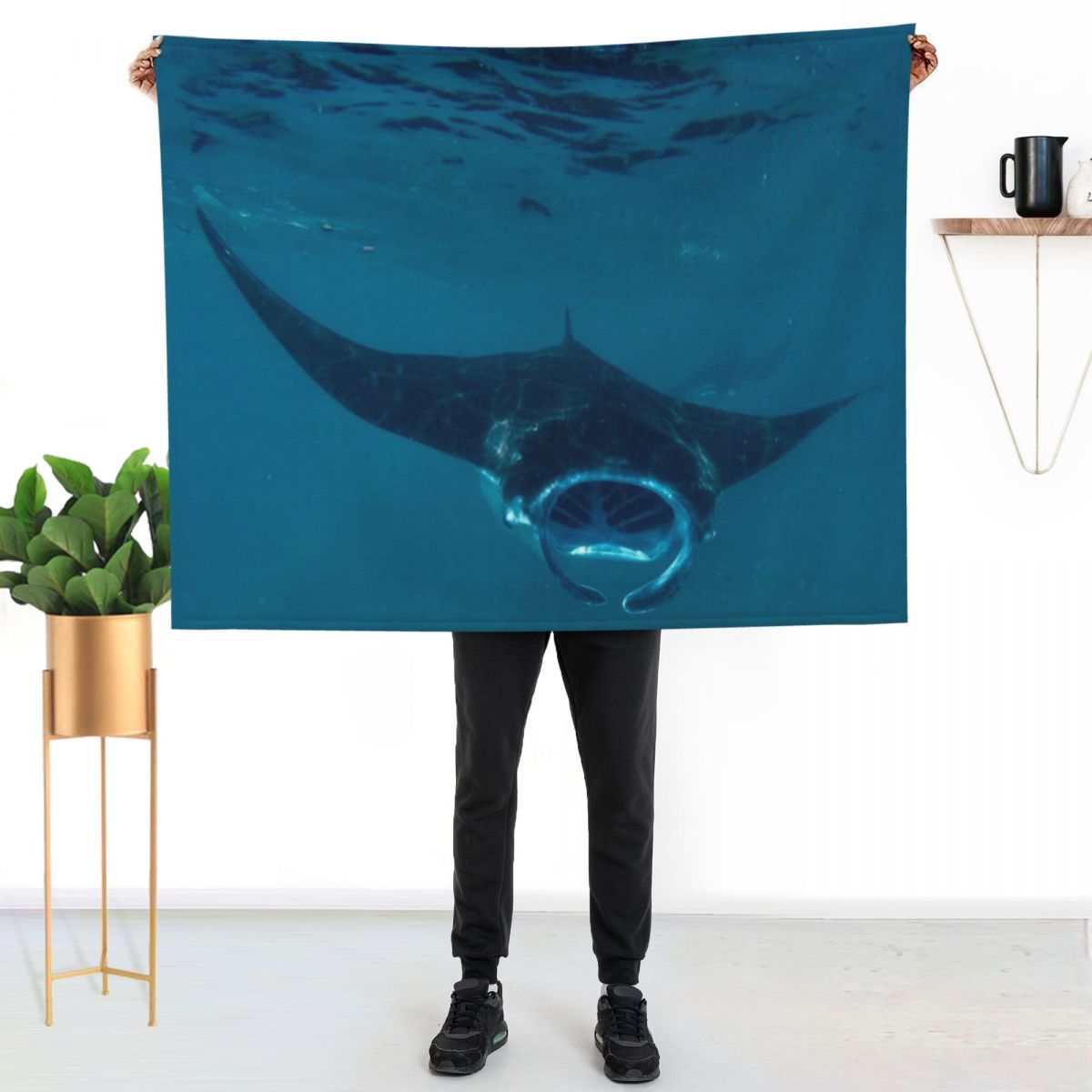 Curious Manta Ray At Crystal B - 3D Printing Bali ulasan dan harga