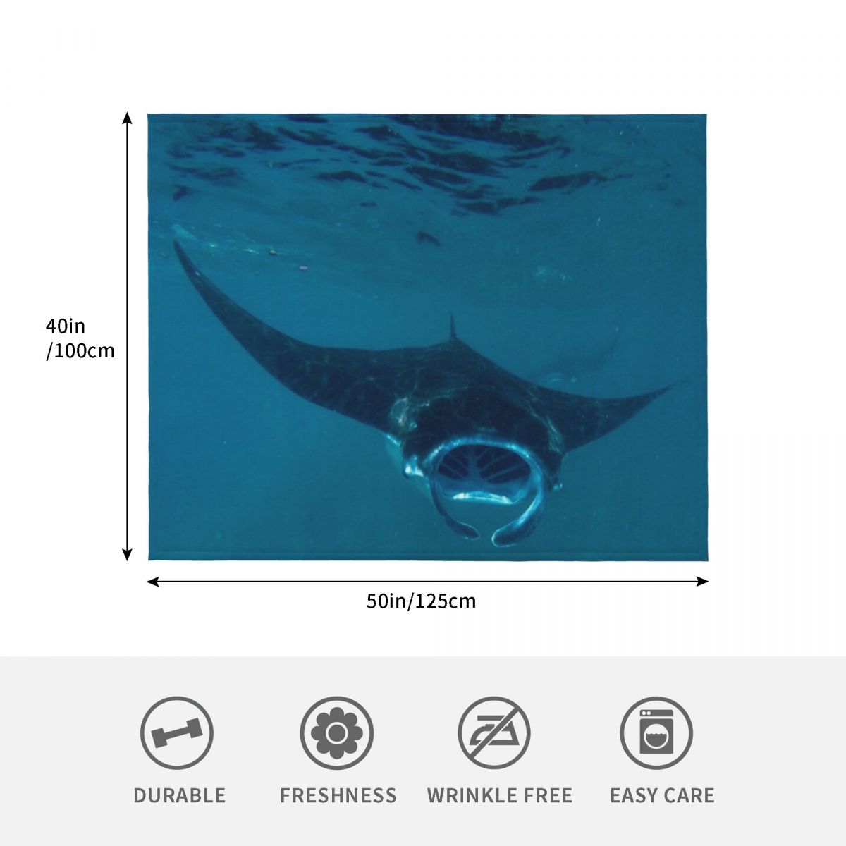Curious Manta Ray At Crystal B - 3D Printing Bali ulasan dan harga